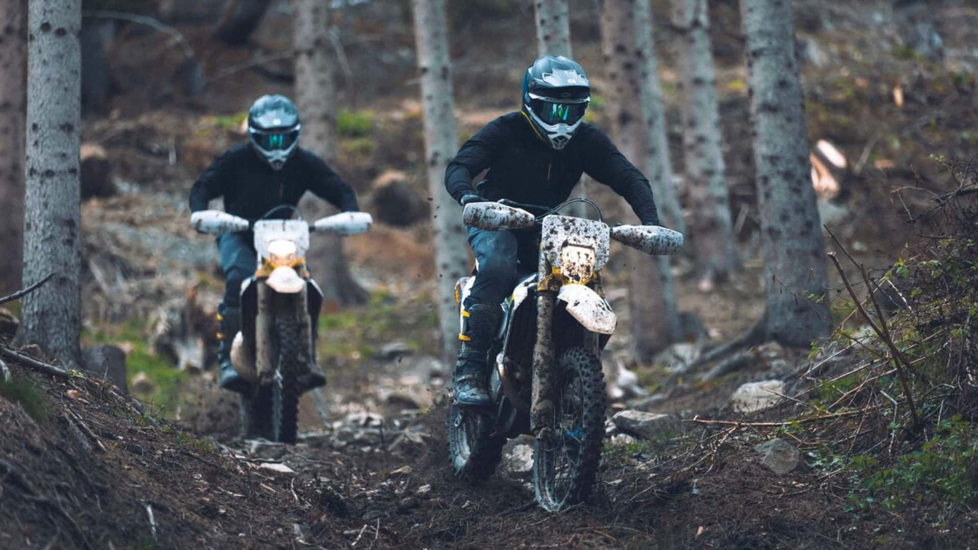 Deux pilotes d'enduro dans un sentier boisé